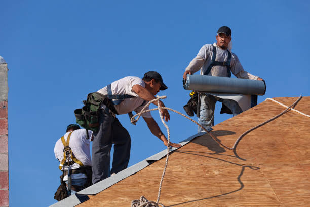 Best Local Roofing Companies  in Osseo, MN