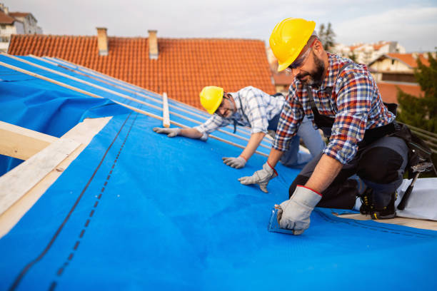 Best Roof Maintenance Services  in Osseo, MN