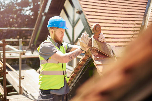 Best Sealant for Roof  in Osseo, MN