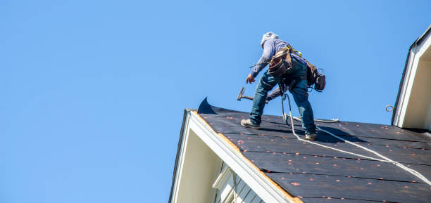 Best Roof Repair Services  in Osseo, MN